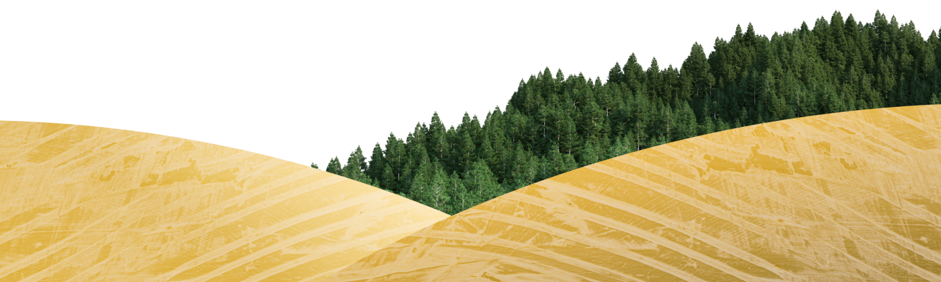 background grass