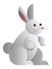 rabbit