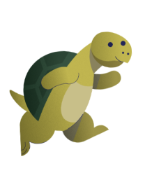 turtle