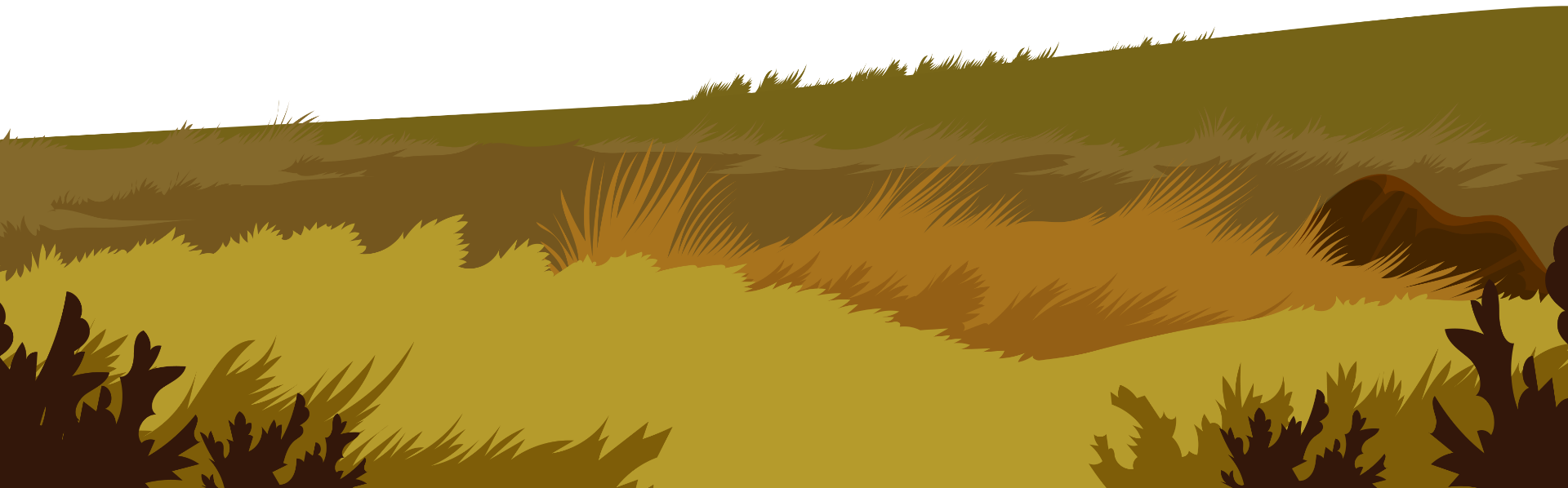 grass