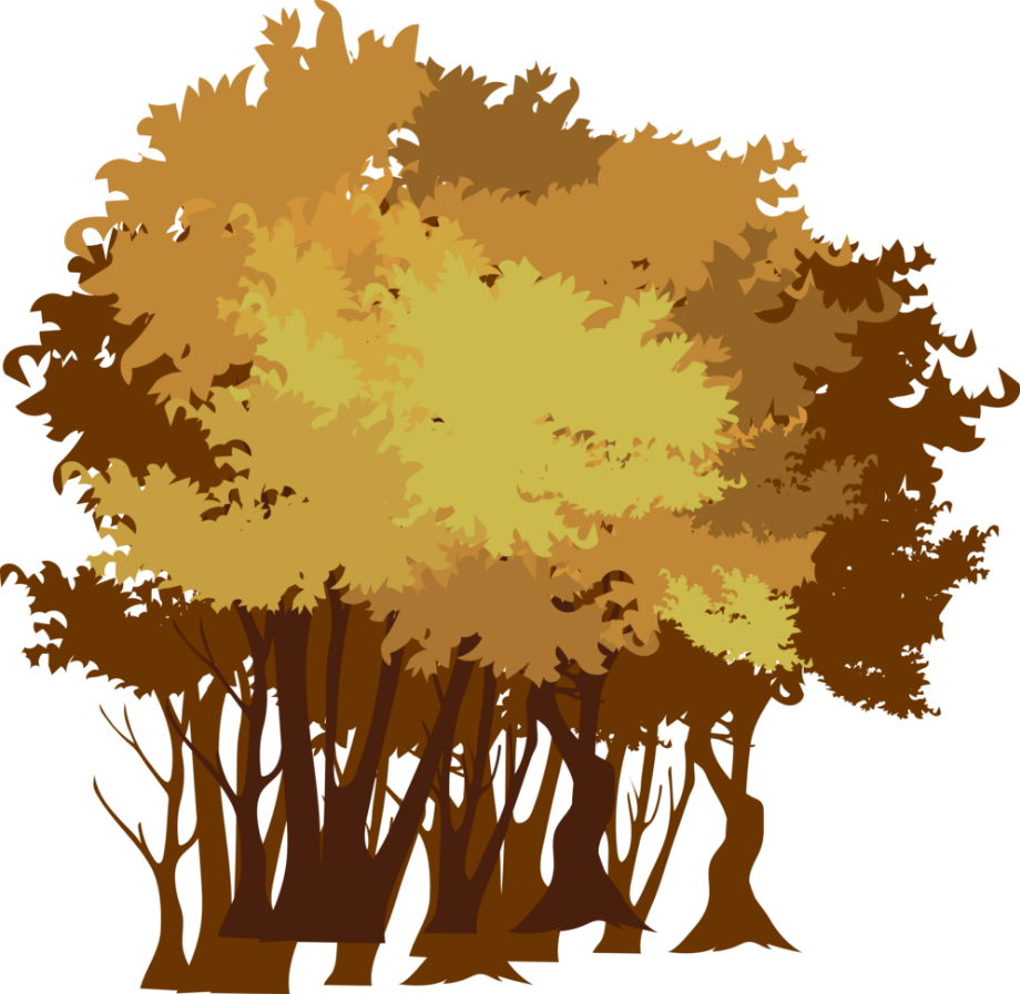 tree on the left